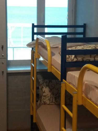 Albergue ?????? ??????