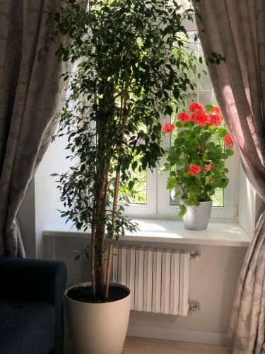 Apartamento The Gardenapartments