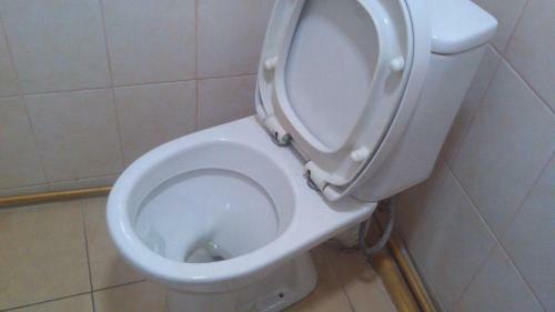 Albergue ?????? ?? ????????????? 3