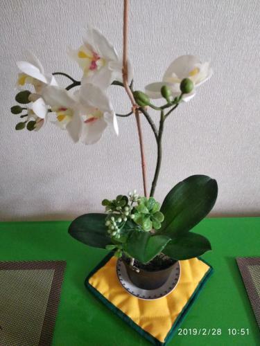 Apartamento ?????. ?????? ????????, ?-? ??????. ????,?.? ????????,????? ????? ????