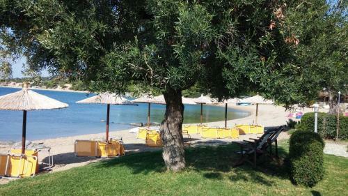 Apartamento Porto Psakoudia