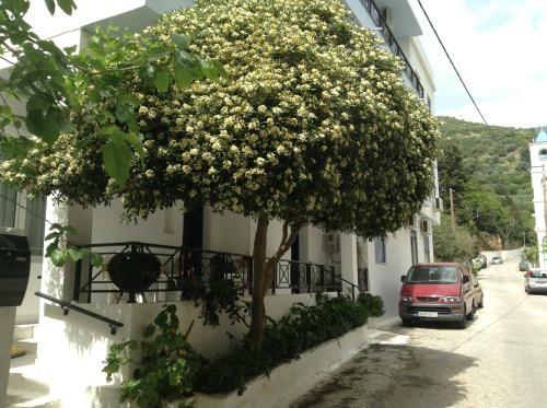 Hotel Asteria