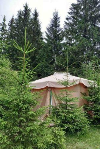 Eco Glamping - Carpathians. Retreat Hub Dzin Space
