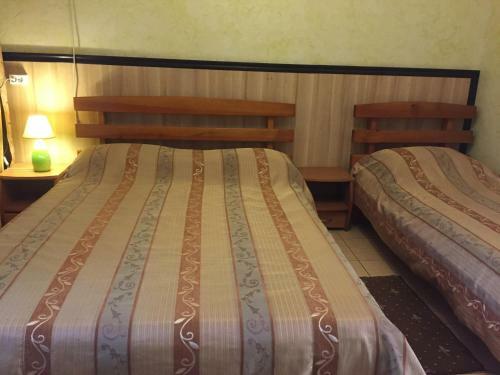 Hotel Skazka