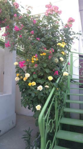 Hostal Malenkiy Ray