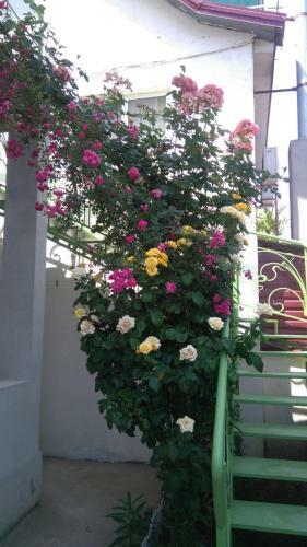 Hostal Malenkiy Ray