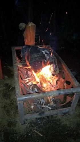 Nkuringo Home Stay