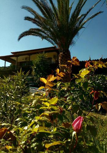 Hostal El Capitan
