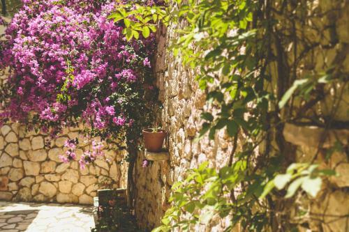 Apartamento Althea Studios