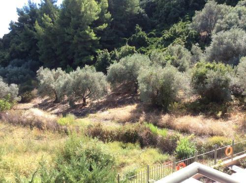 Apartamento Achladi Beach