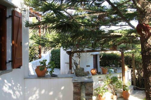 Apartamento Axahas