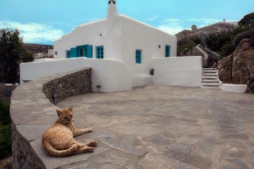 Villa Belogna Ikons