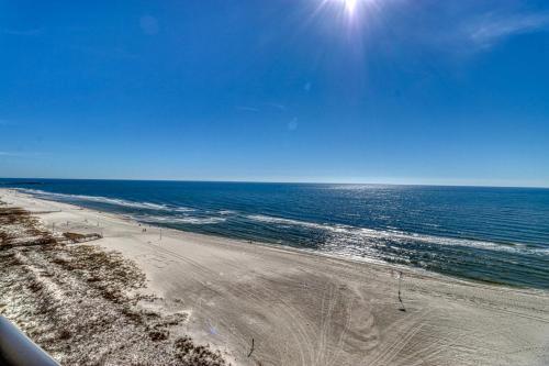 The Palms #1002