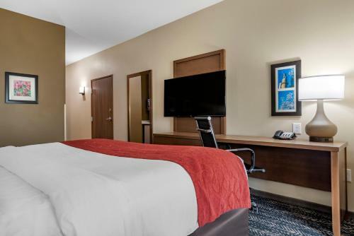 Hotel Comfort Inn & Suites Downtown Near University