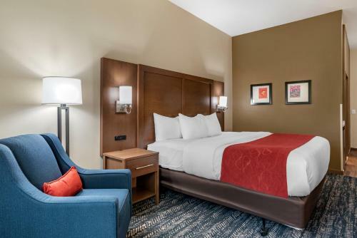 Hotel Comfort Inn & Suites Downtown Near University