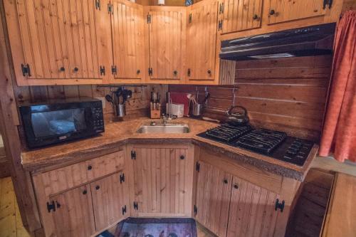 Pet-friendly Log Cabin With Fire Pit On Kenai River!