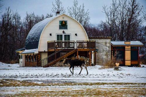 The Barn And Tiny House At Mountain Field Farm