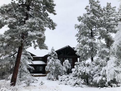 The Cabin Home