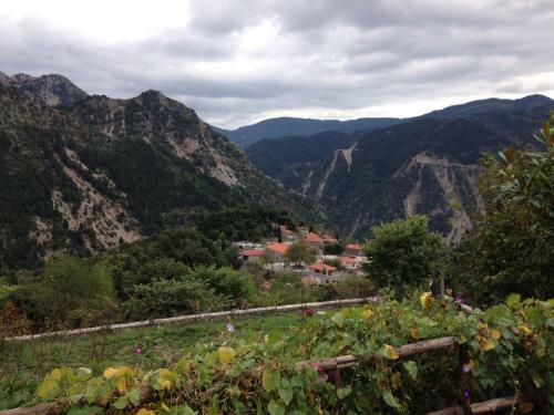 Hostal Dryades Guesthouse