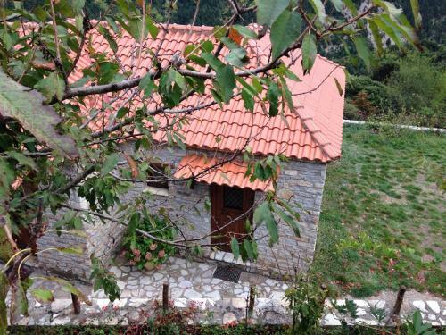 Hostal Dryades Guesthouse