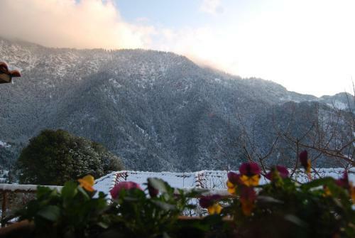 Hostal Dryades Guesthouse
