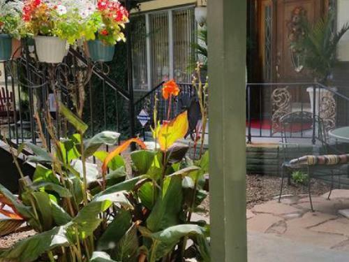 Bed & Breakfast Tradewinds Lodging