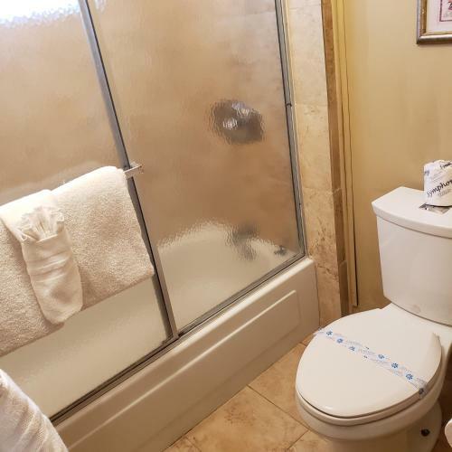 Hotel Grey Squirrel Resort