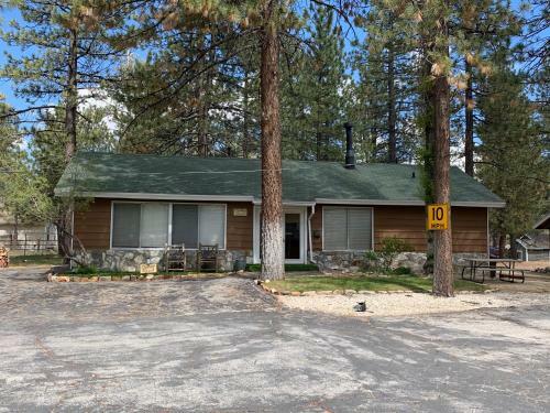 Hotel Grey Squirrel Resort