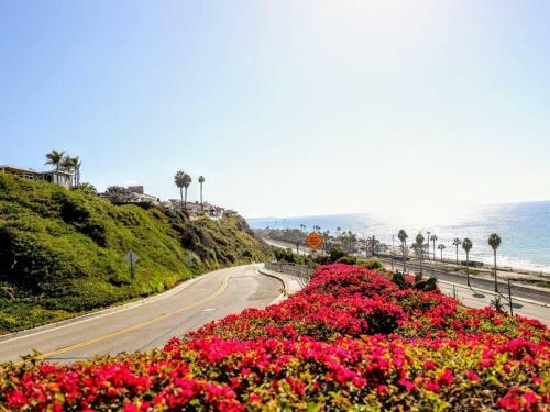 Danapoint 2bed Home, Walk To Beach