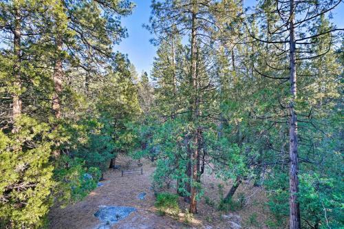 Cozy Idyllwild Cabin With Decks - Steps From Hiking!