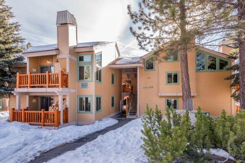 Mammoth Creek #52