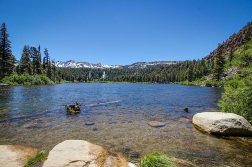 Snowcreek 239