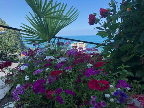 Hostal Sanni Guest House