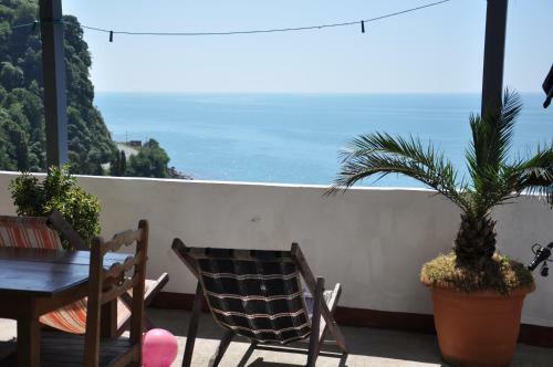 Hostal Akhmed Guest House