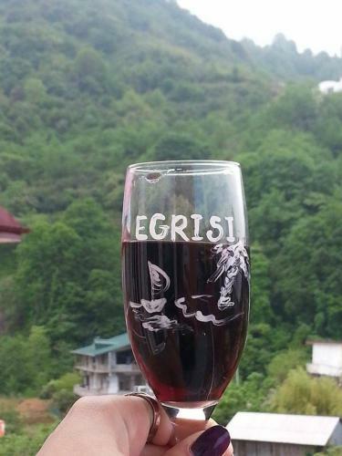 Hotel Egrisi