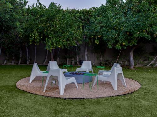 Modern Pura Vida By Oranj Palm