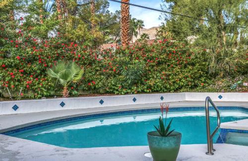 Sunny Times In Palm Springs