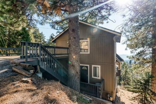 All View Pines