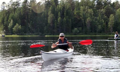 Lemmenjoki Camping & Cabins