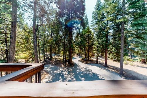 Evergreen Lodge