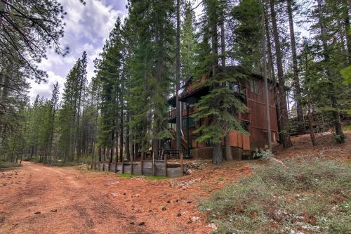 Bear Haus