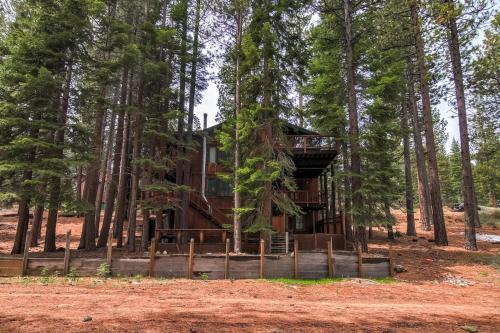 Bear Haus