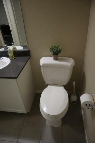 Luxury Apartment In Downtown Sunnyvale