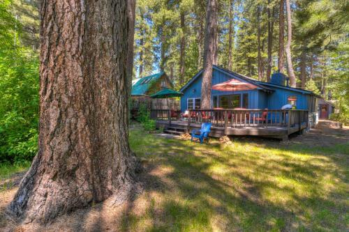 Foursome Cabin Cabin