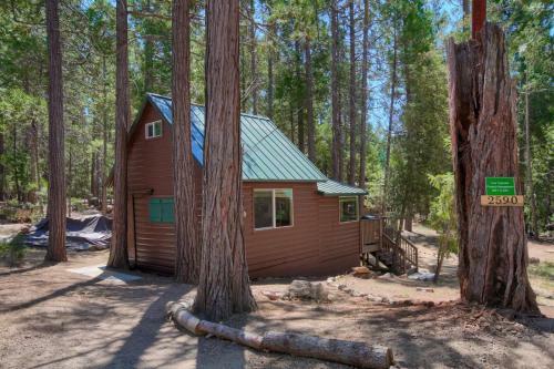 Beetlebark Bungalow