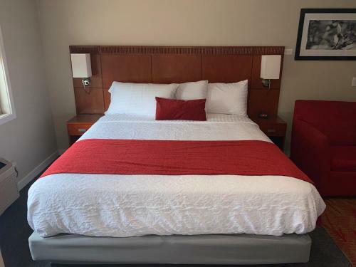 Apartamento Bell & Main Studio 208