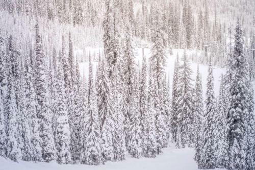 Shadow Mountain 3