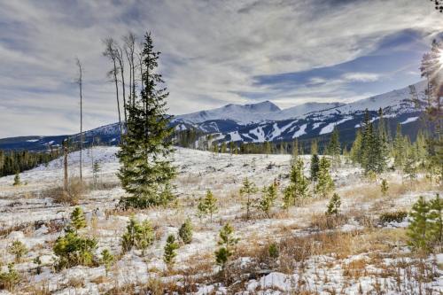Cozy Mtn Home About 2 Mi To Breck Resort And Main St!