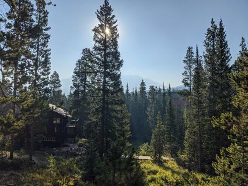 Breckenhaus Cabin