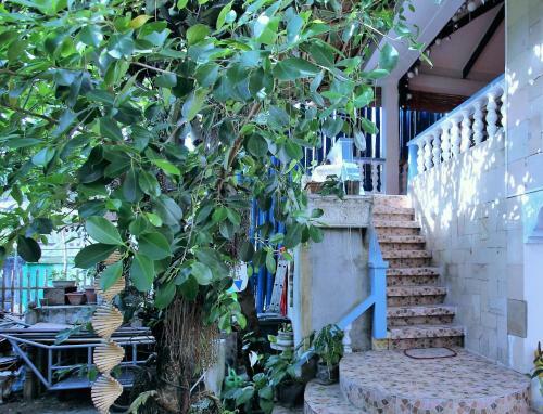 Blue Bamboo Hostel
